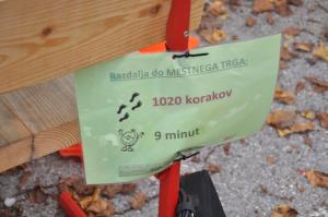 03 foto Rok Mohorič